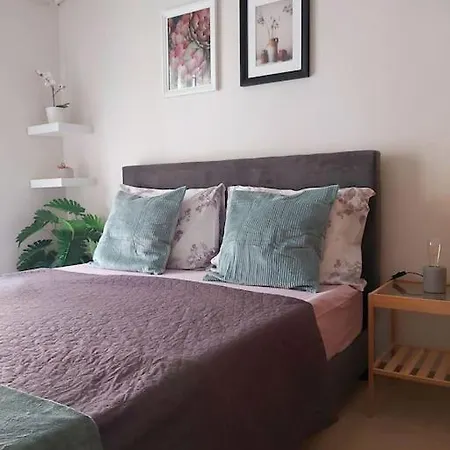 Lovely Studio2 Down Town With Parking Apartment *